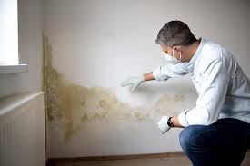 Best Airborne Mold Testing  in Mount Sterling, KY